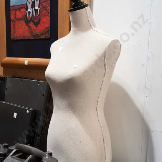 female shop mannequin torso - no stand H800