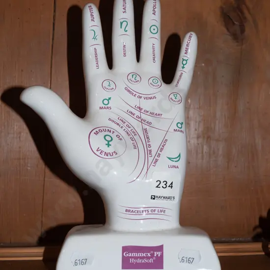 ceramic palmistry hand