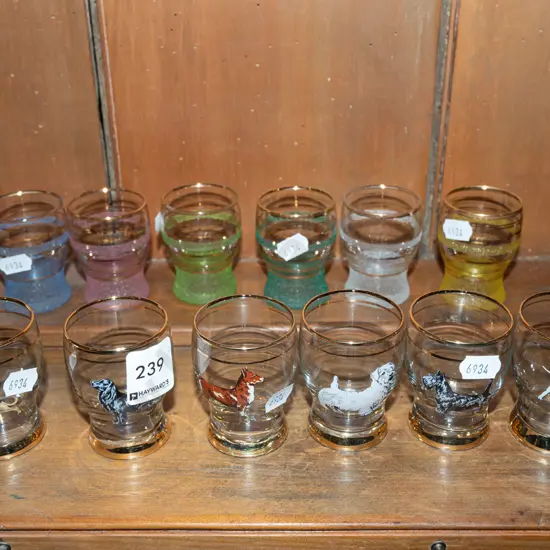 12x shot glasses 