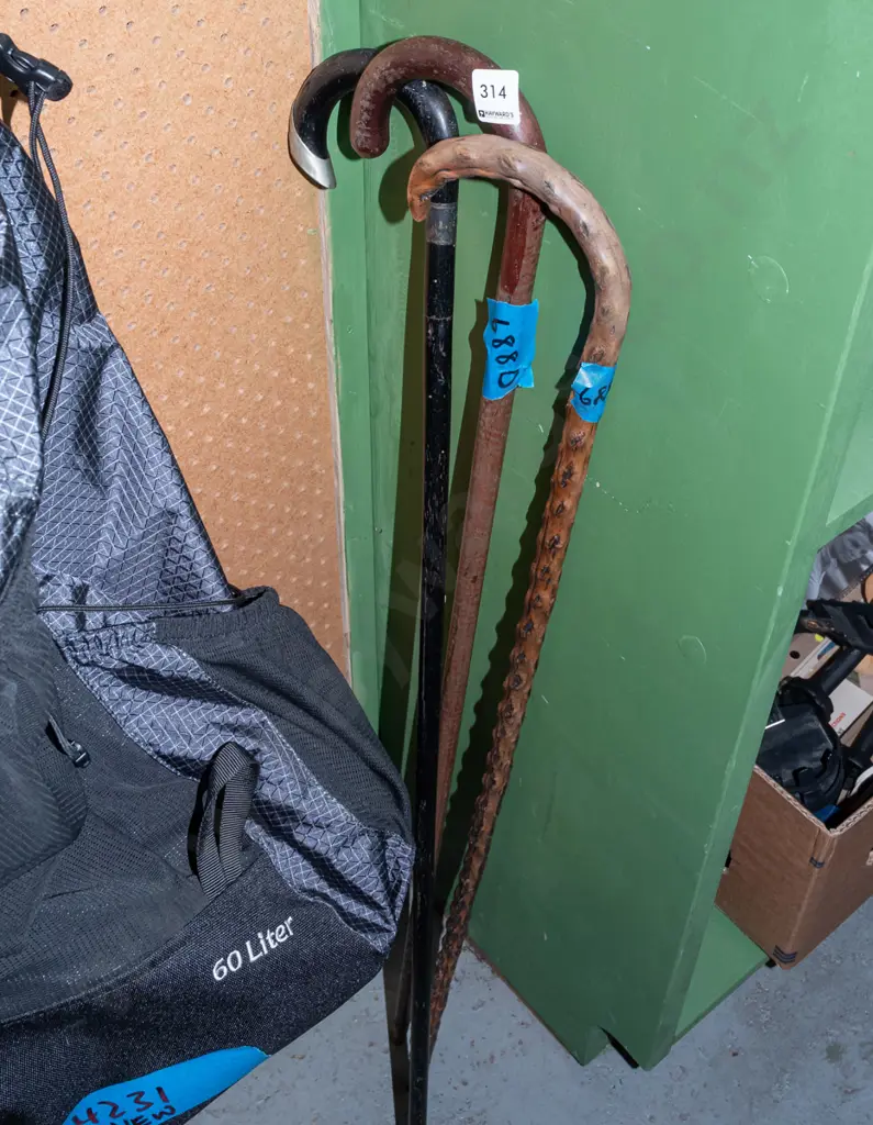 3x walking sticks Image 1++