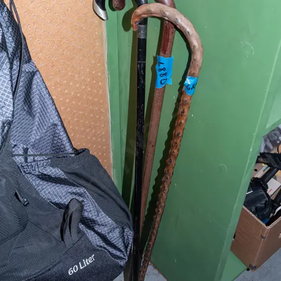 3x walking sticks