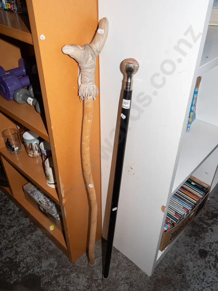 2x walking sticks Image 1++