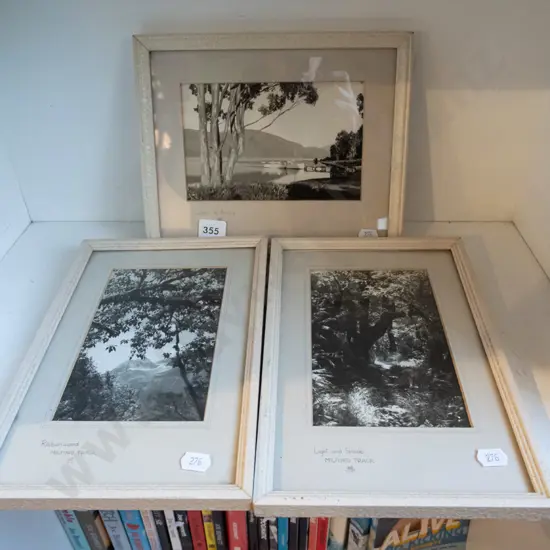 3x black and white photographs - NZ landscapes