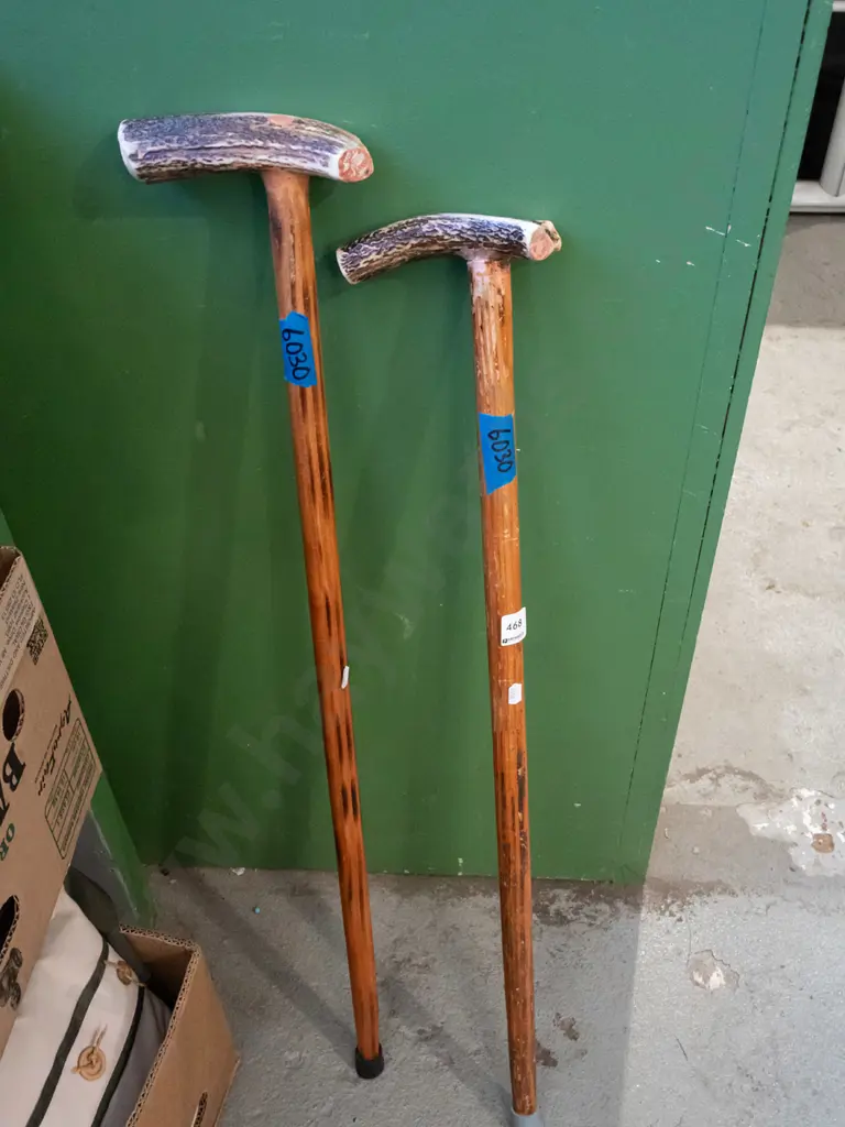 2x walking sticks Image 1++