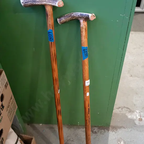2x walking sticks