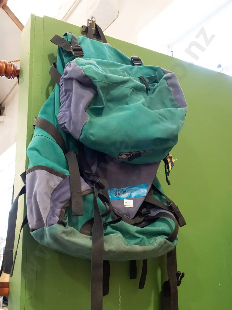 Fairydown tramping pack Image 1++