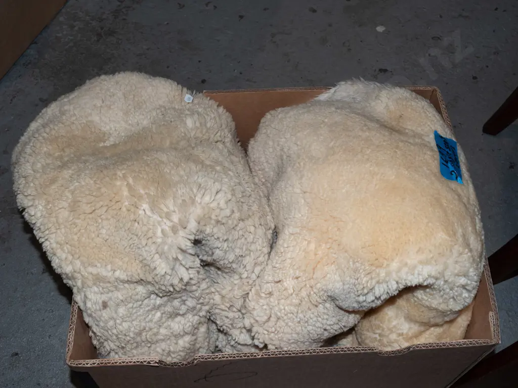 2x sheepskin single seat covers Image 1++