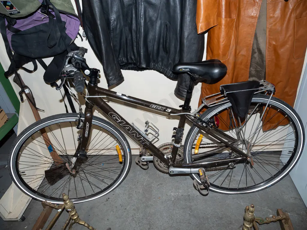 Giant CRX3 push bike Image 1++
