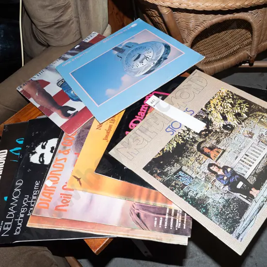 LPs; Bruce Springstein, Dire Straits, Neil Diamond etc