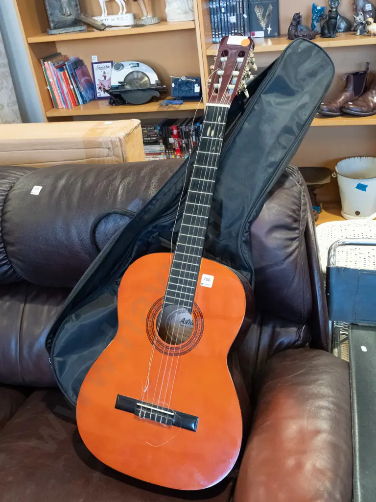 Ashton acoustic guitar and soft carry case - some wear, needs restringing Image 1++