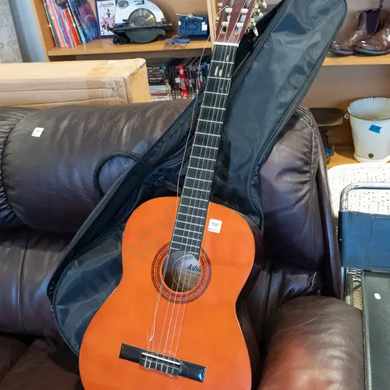 Ashton acoustic guitar and soft carry case - some wear, needs restringing