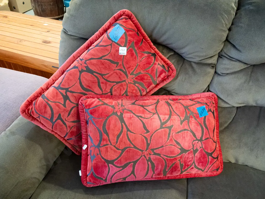 2x red cushions Image 1++