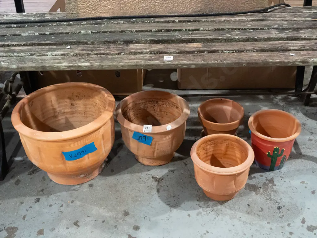 5x terracotta planters Tallest H240 Image 1++
