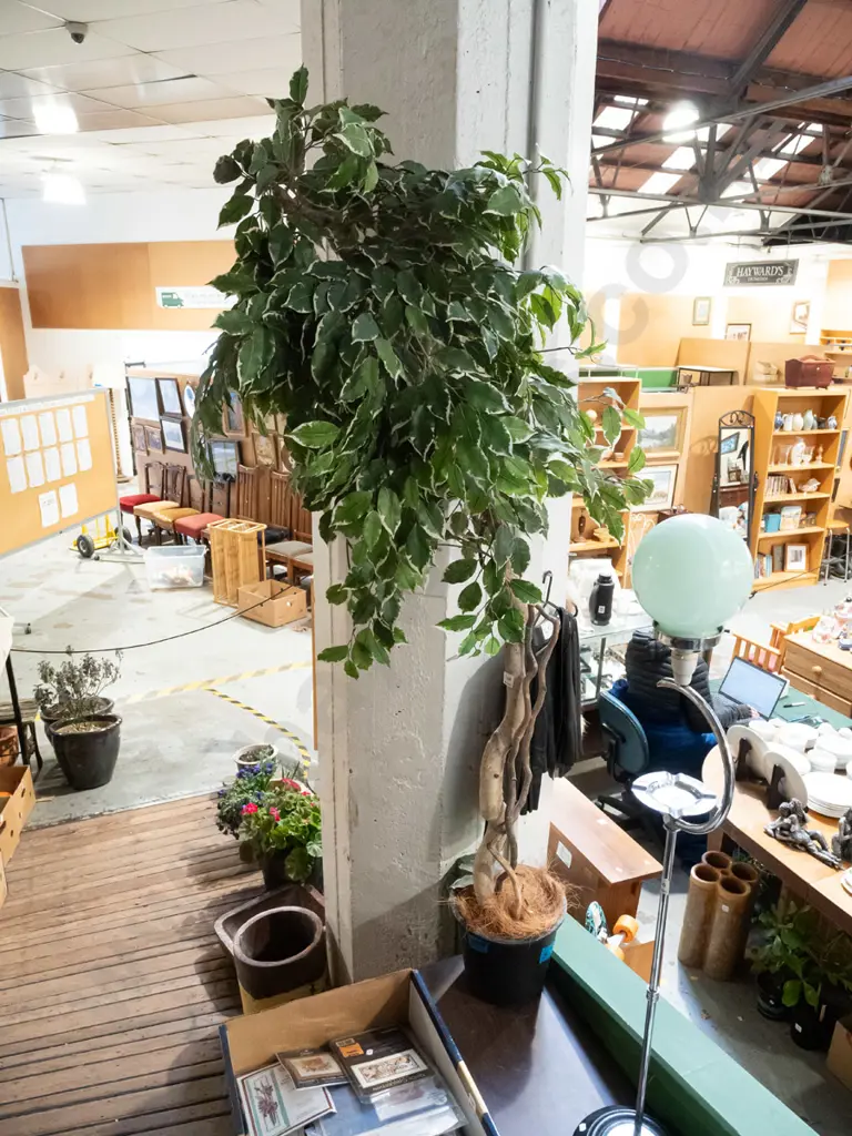 large faux plastic plant in pot Overall H1800 Image 1++