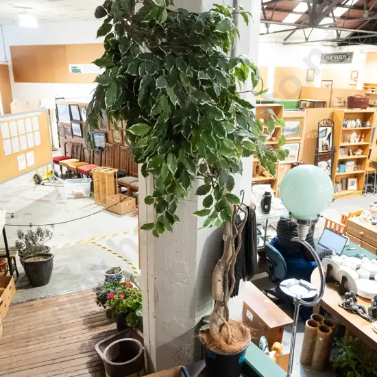large faux plastic plant in pot Overall H1800