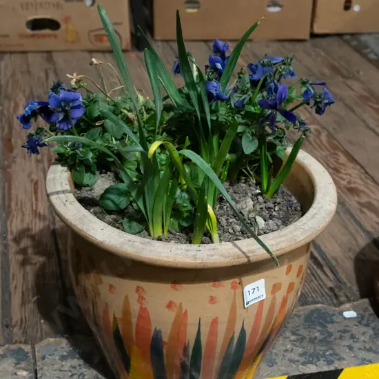glazed planter and plants Pot H50