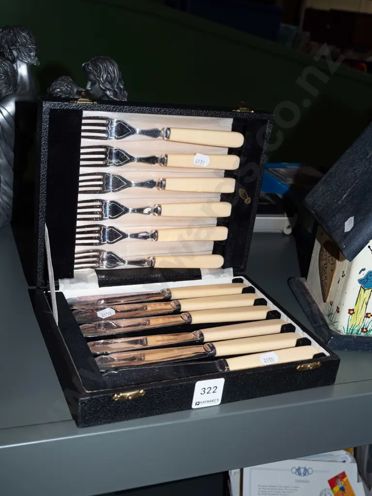 cased bone handled fish set Image 1++