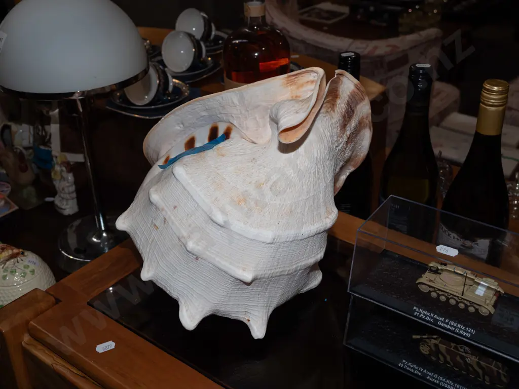 large seashell W300 - chip to top Image 1++