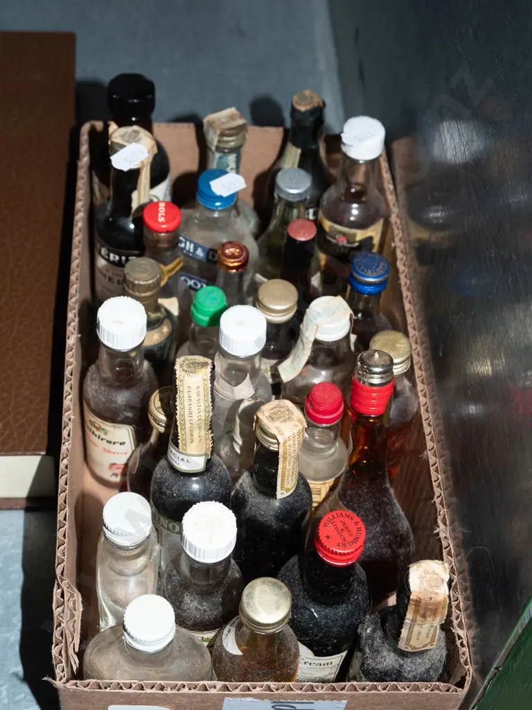 box of spirit miniatures Image 1++