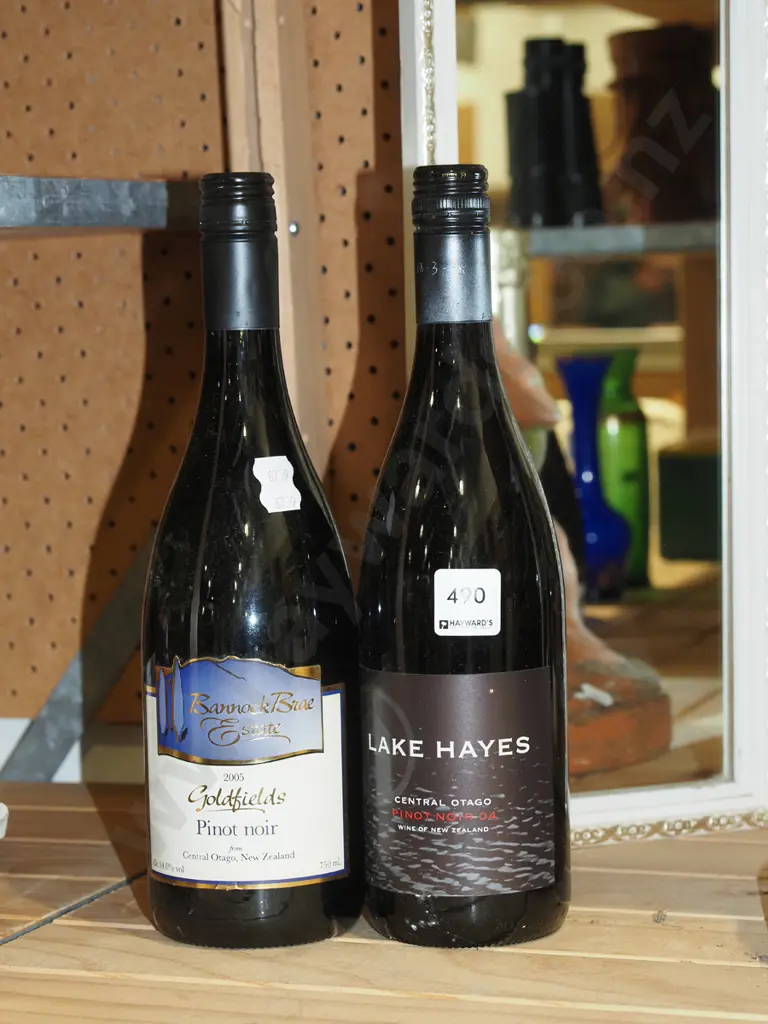 Goldfields pinot noir 2005, Lake Hayes pinot noir 2004 Image 1++