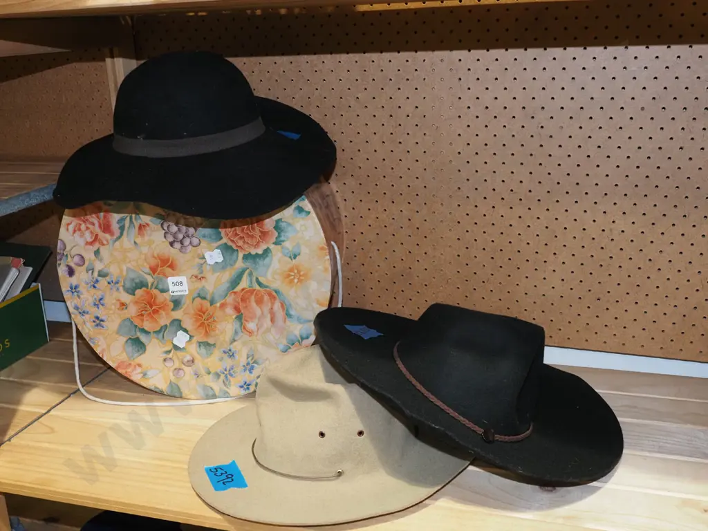 3x felt hats and hat box Image 1++