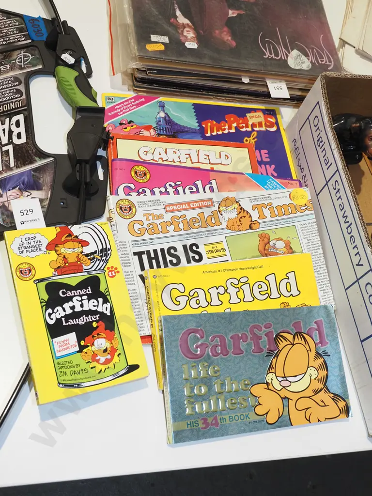 Garfield books Image 1++