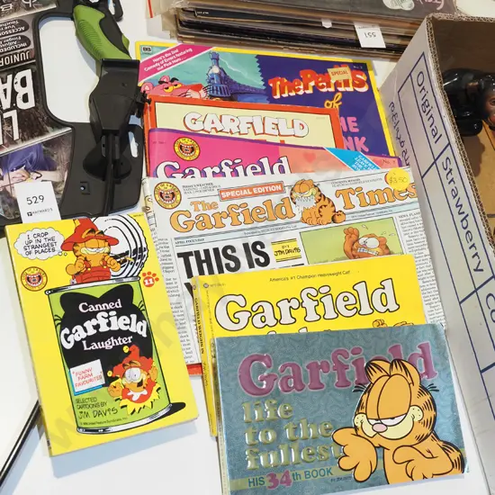 Garfield books