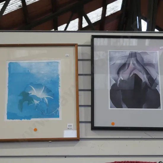 2x framed floral prints - orange dots