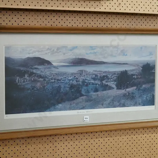 framed Dunedin historic print