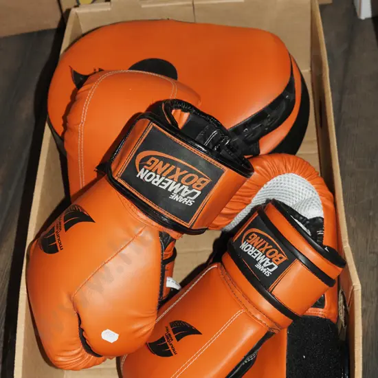 box; boxing gloves and pads