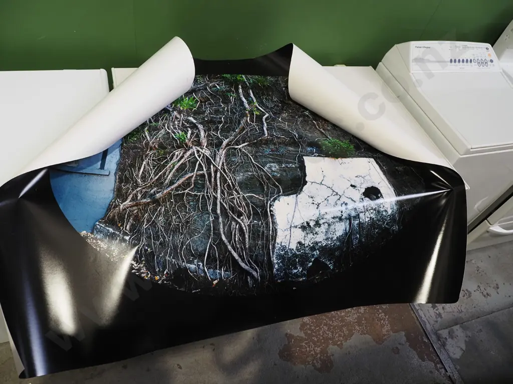 3x large format photographs Image 1++