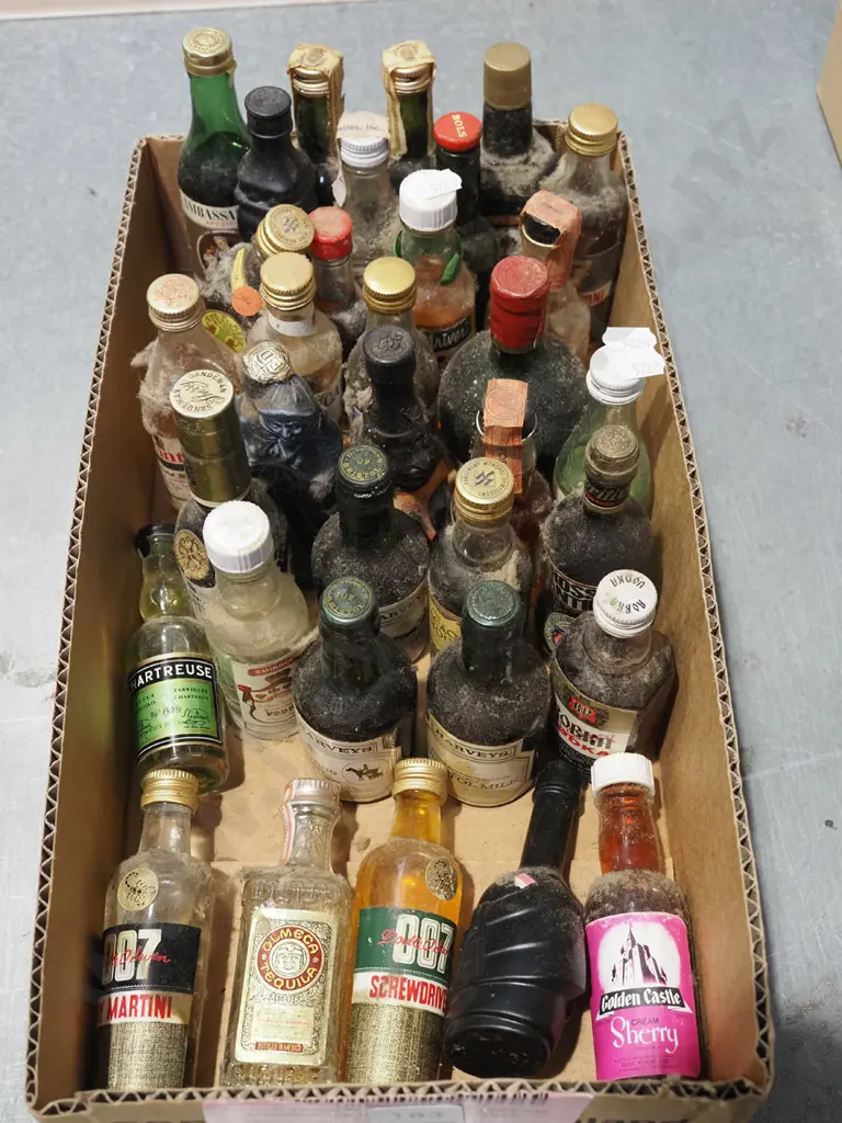 box of spirit miniatures Image 1++