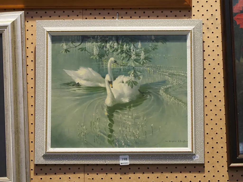 Vernon Ward print - swans Image 1++