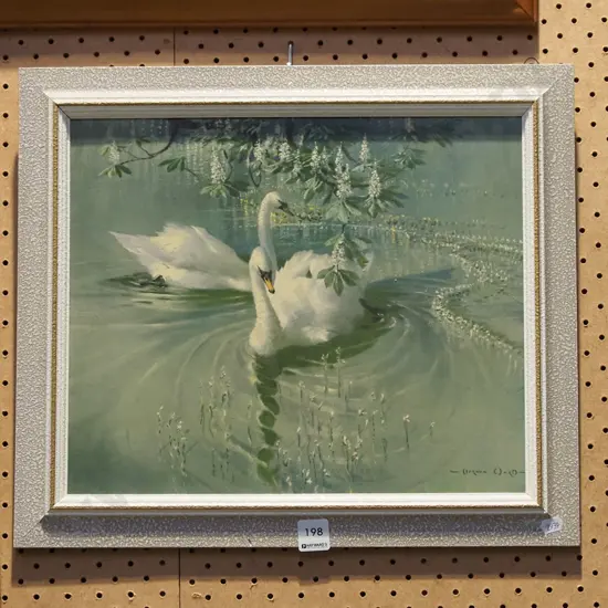Vernon Ward print - swans
