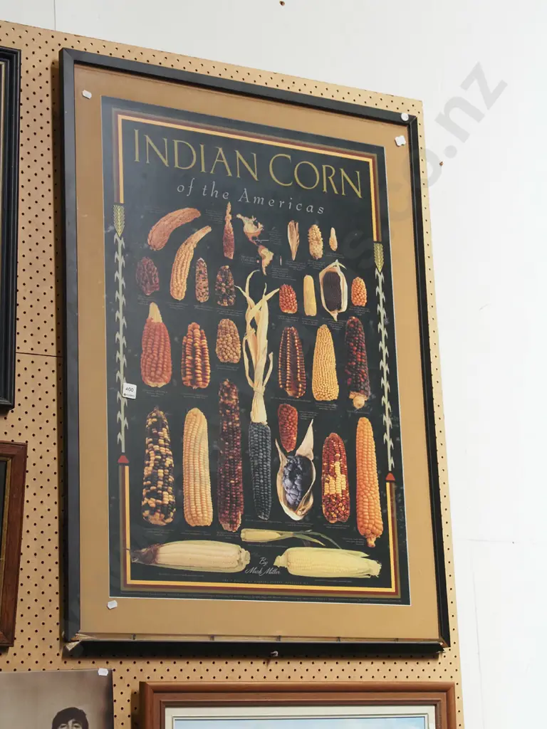 framed poster print - Indian Corn of the Americas - damage to frame Image 1++