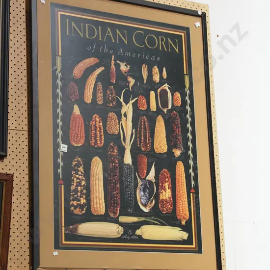 framed poster print - Indian Corn of the Americas - damage to frame