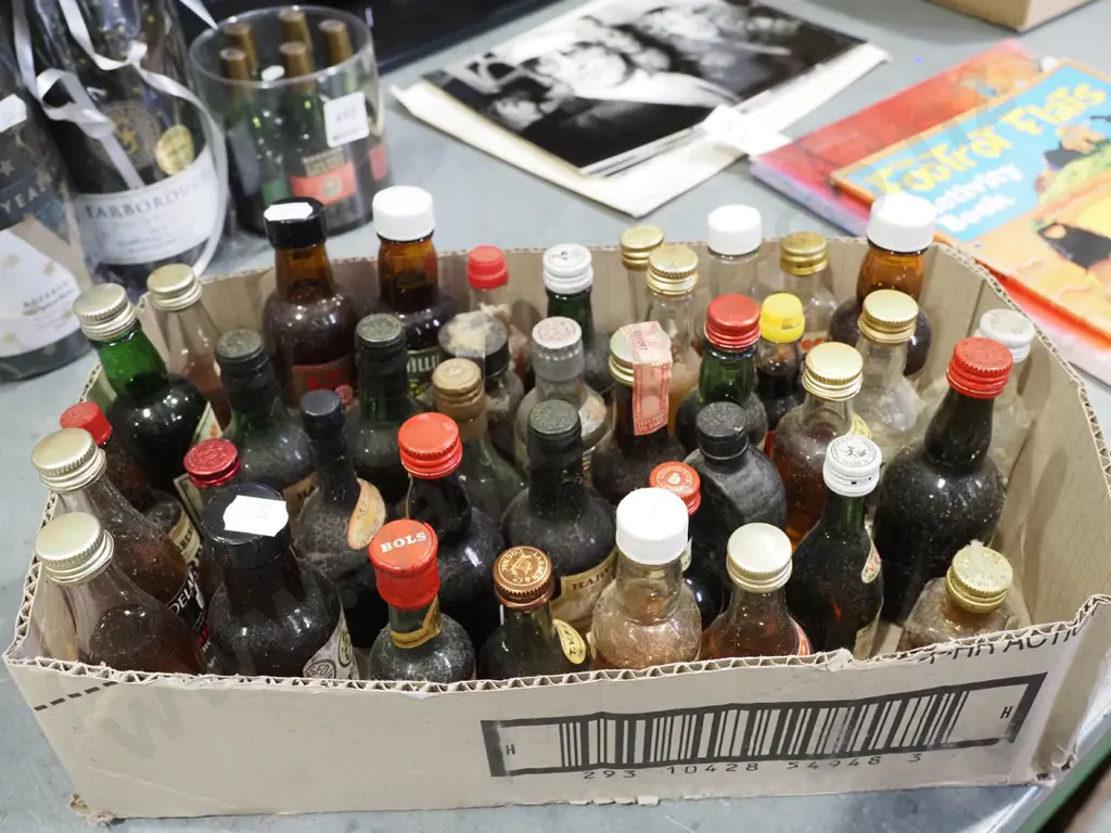 box of spirit miniatures Image 1++
