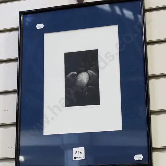 Chris Adams '97 - framed ltd edition print - Karaka