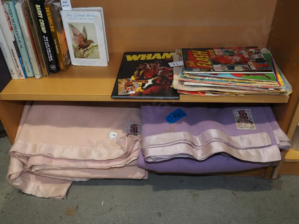 2x Princess blankets - need a clean, possible stains Image 1++