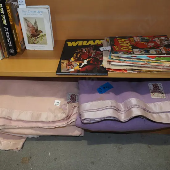 2x Princess blankets - need a clean, possible stains