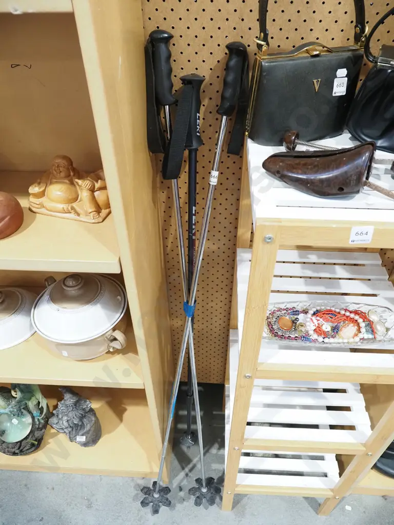 ski poles, Leki walking pole Image 1++