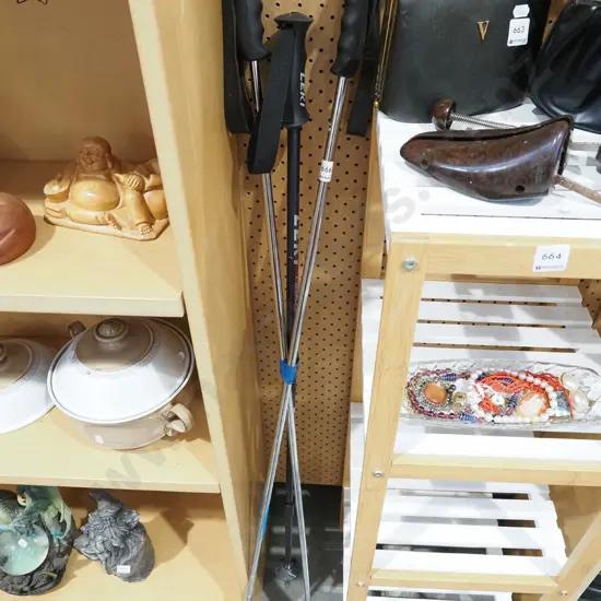 ski poles, Leki walking pole