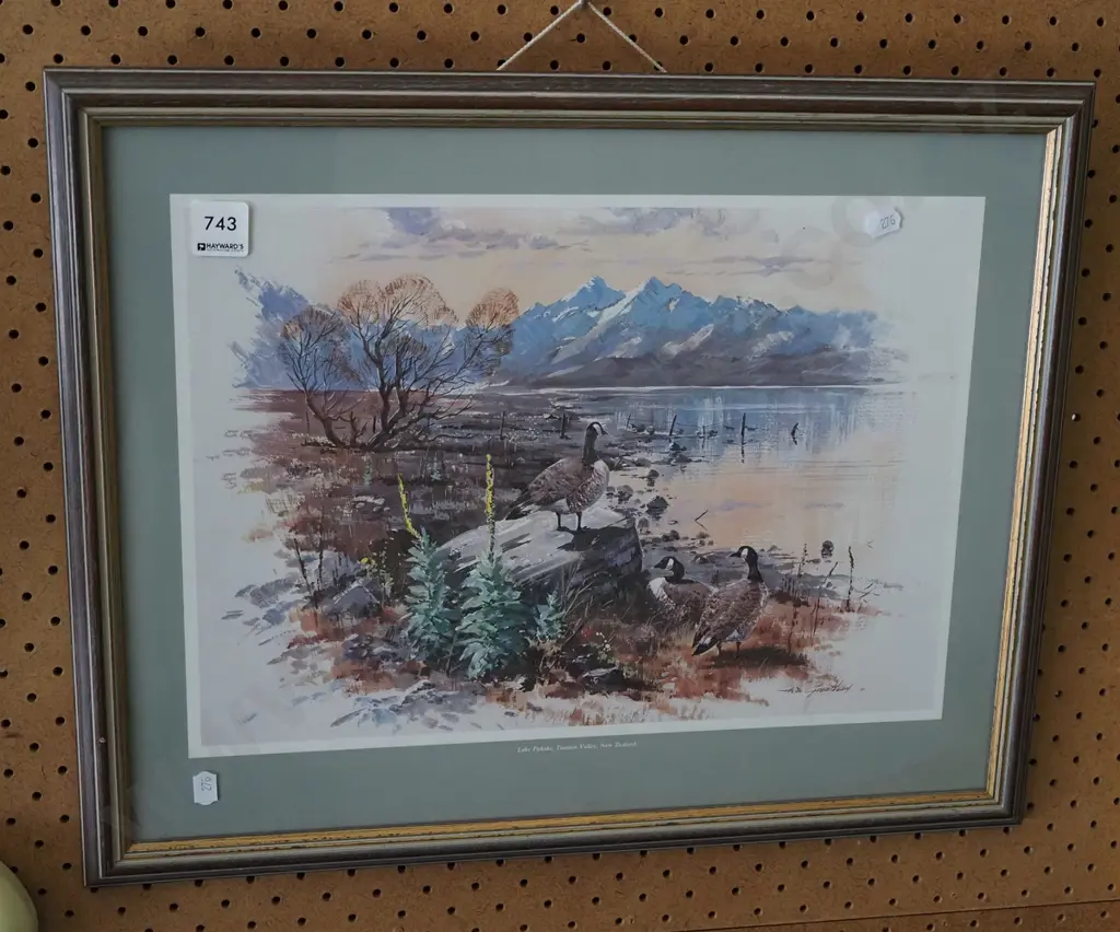 framed print - Lake Pukaki Image 1++
