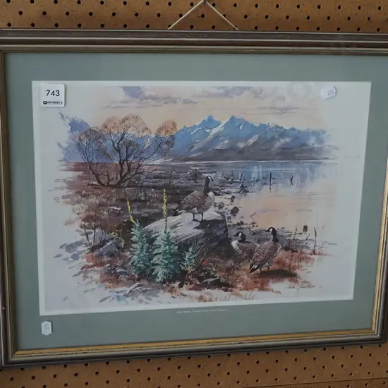 framed print - Lake Pukaki