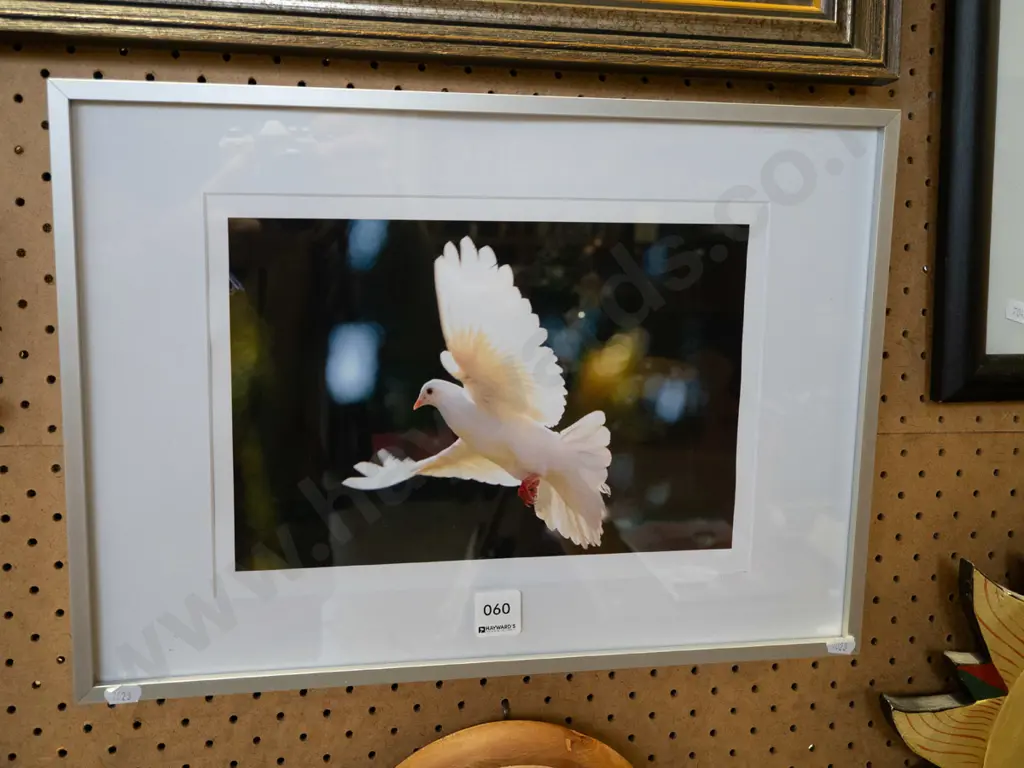framed dove print Image 1++
