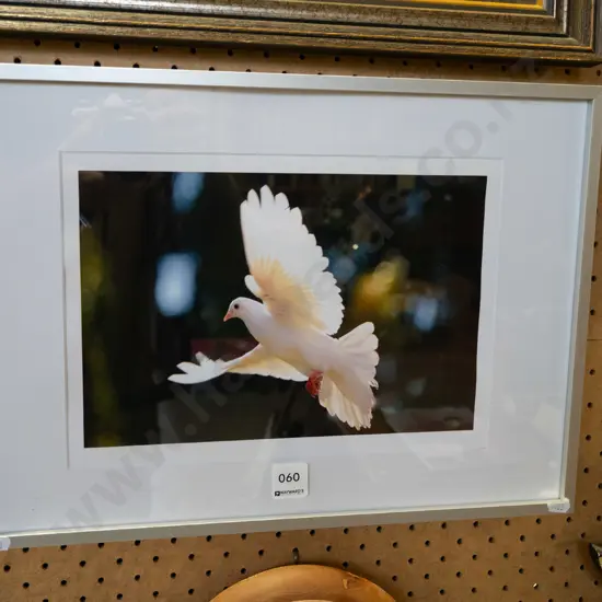 framed dove print