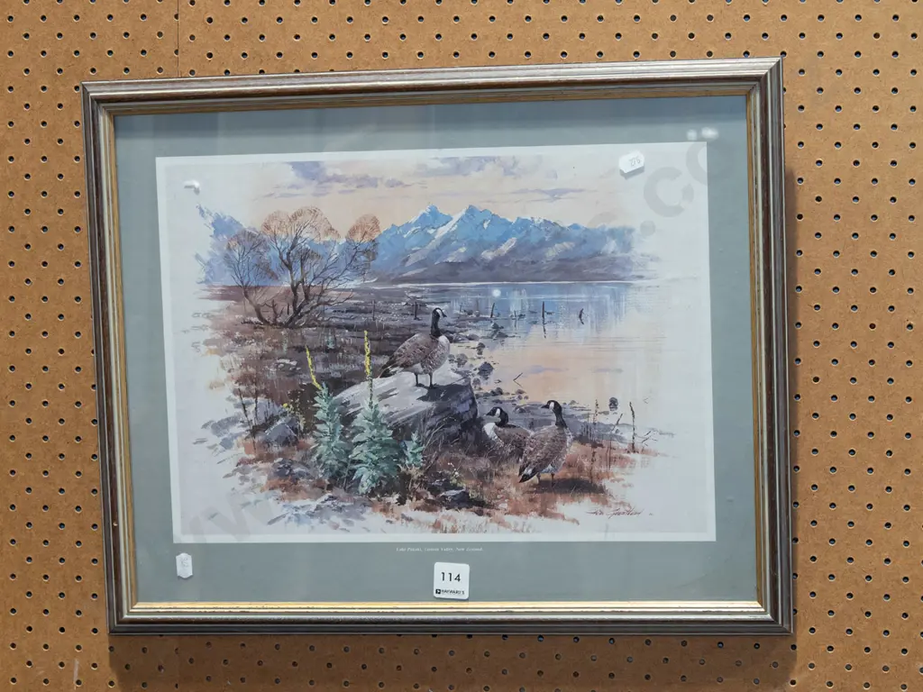 framed print - Lake Pukaki Image 1++