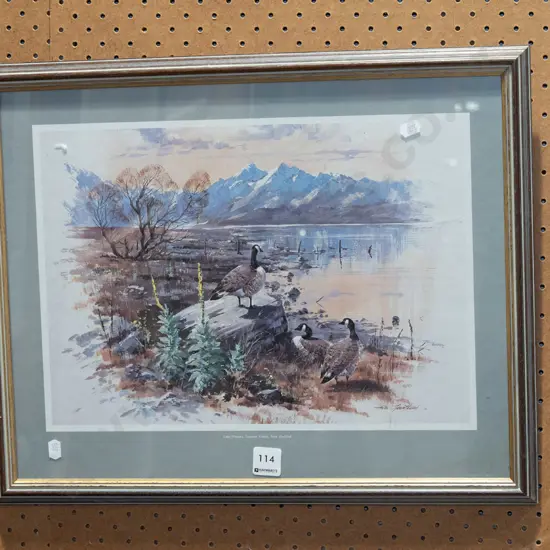 framed print - Lake Pukaki