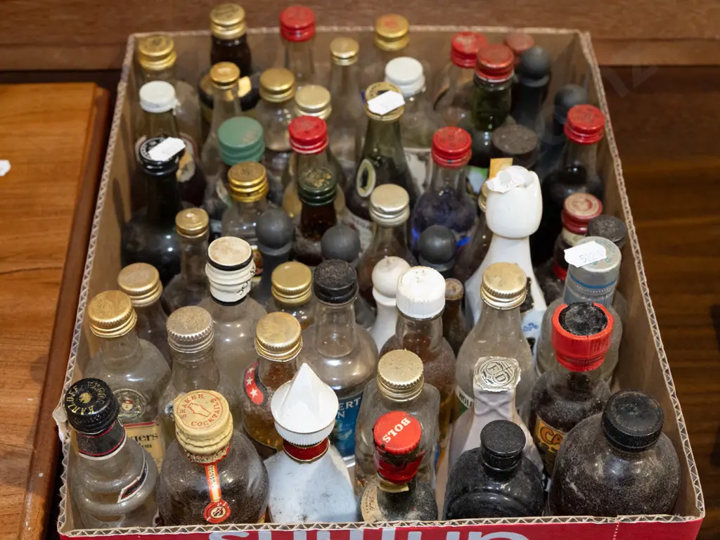 box of spirit miniatures Image 1++