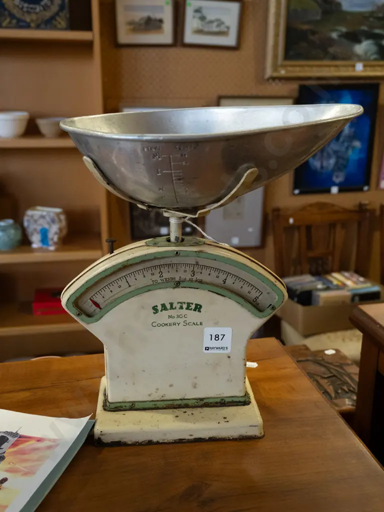 Salter scales Image 1++